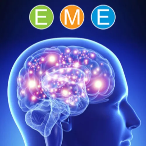 Le Cerveau