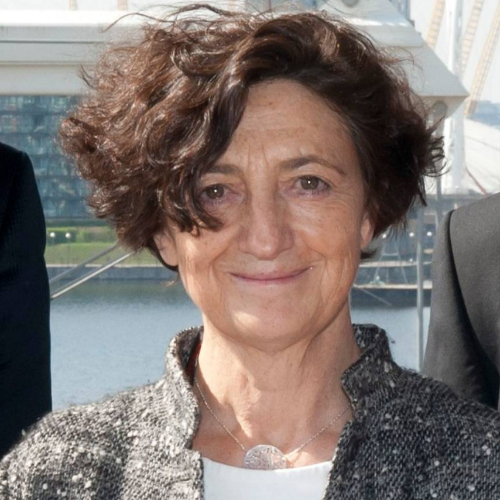 Dominique  Salmon-Ceron