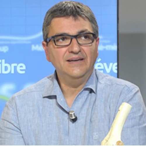 Tarek Ala Eddine